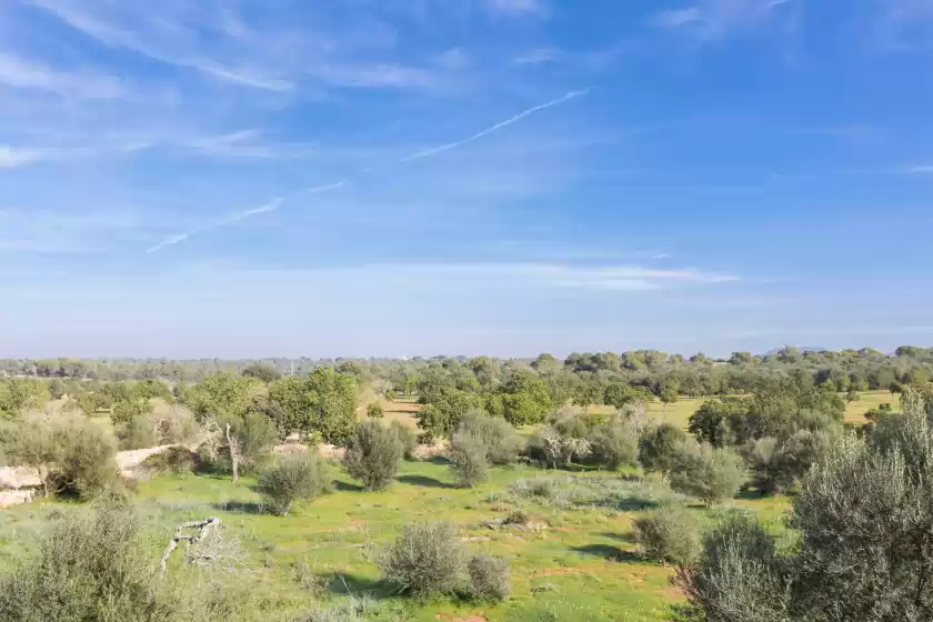 Ferienhaus auf Ca na carme, Campos
