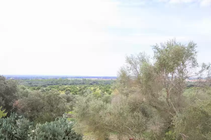 Alquiler vacacional en Son veny, Porreres