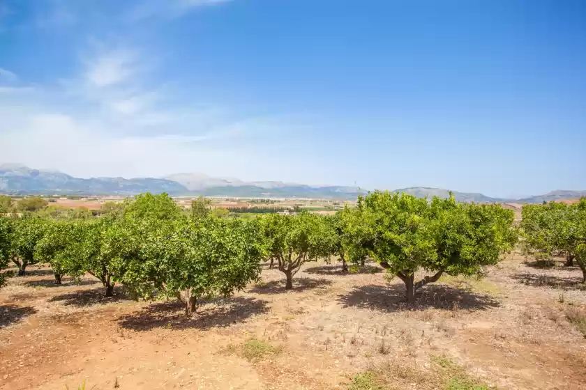 Alquiler vacacional en Taronger, Muro