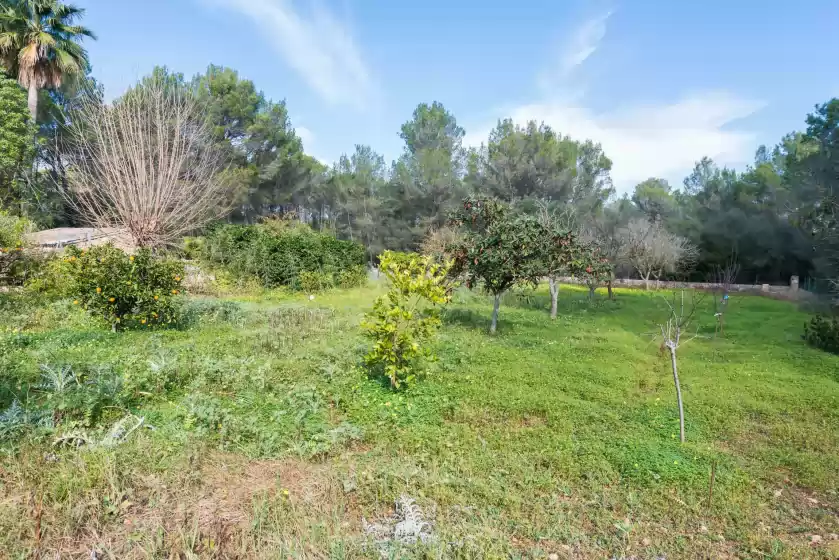 Holiday rentals in Son vega 723, es Pla de na Tesa