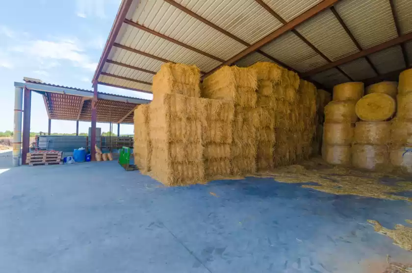 Ferienhaus auf Sa caseta de ses vaques.son covas, Campos