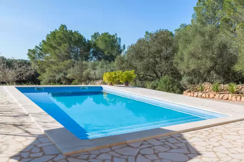 Location de vacances à Romaní des figueral, Campos