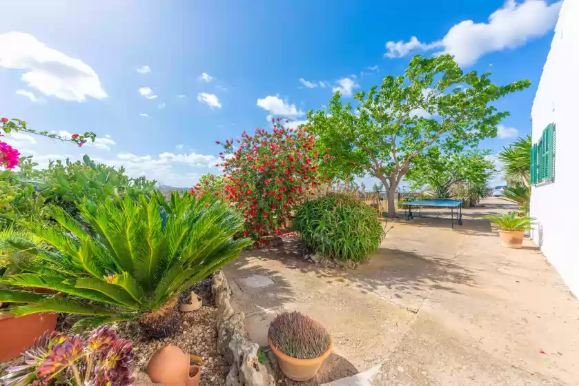 Ferienhaus auf Barranc de son fullós, Santa Margalida