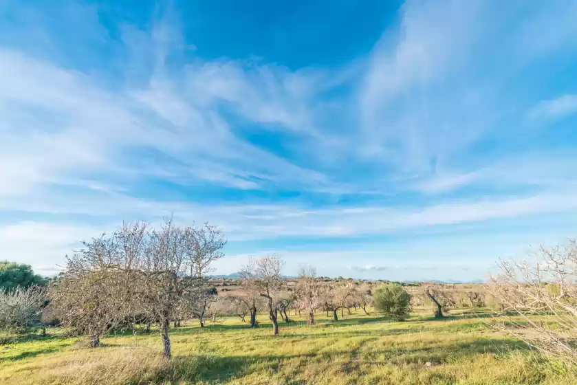 Ferienunterkünfte in El pujol, Maria de la Salut