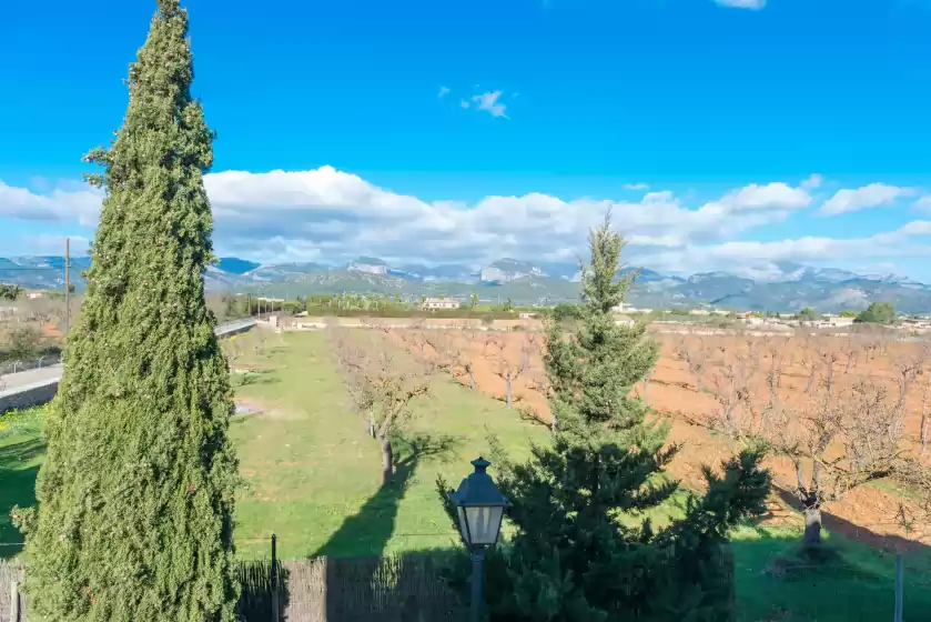 Alquiler vacacional en Campanar, Binissalem