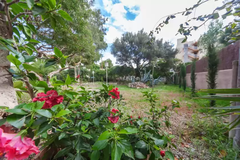 Alquiler vacacional en Can xim, Cala Millor