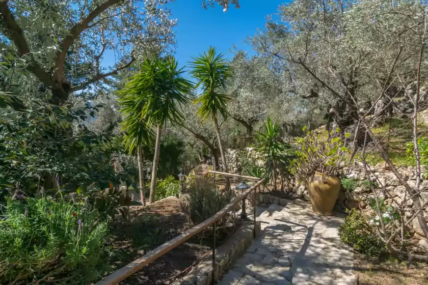 Location de vacances à Es coll d'en pastor, Fornalutx