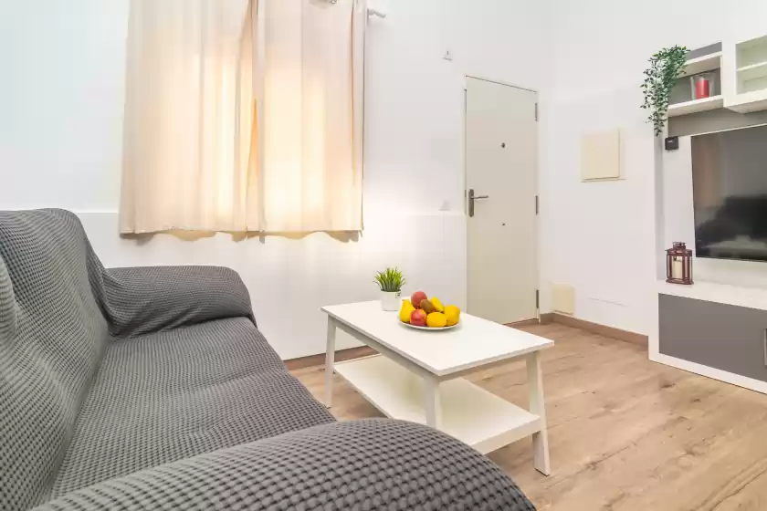 Holiday rentals in Centric, Palma