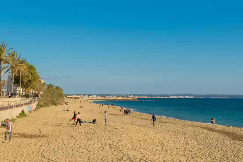 Ferienunterkünfte in Centric, Palma