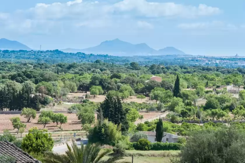 Ferienunterkünfte in Llimonera (costitx), Costitx