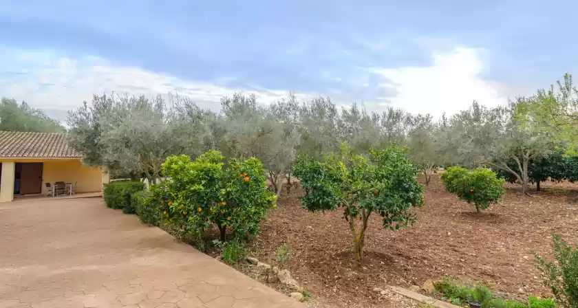 Ferienhaus auf Sa coveta, Algaida