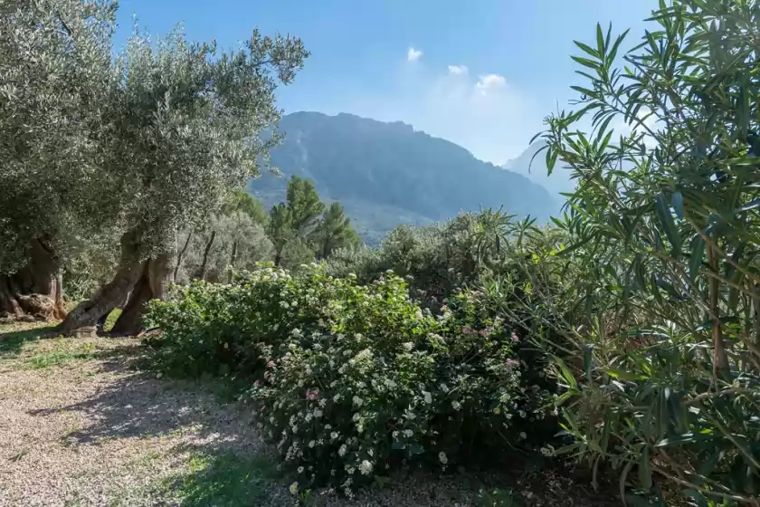 Ferienhaus auf Rustica es seguers, Fornalutx