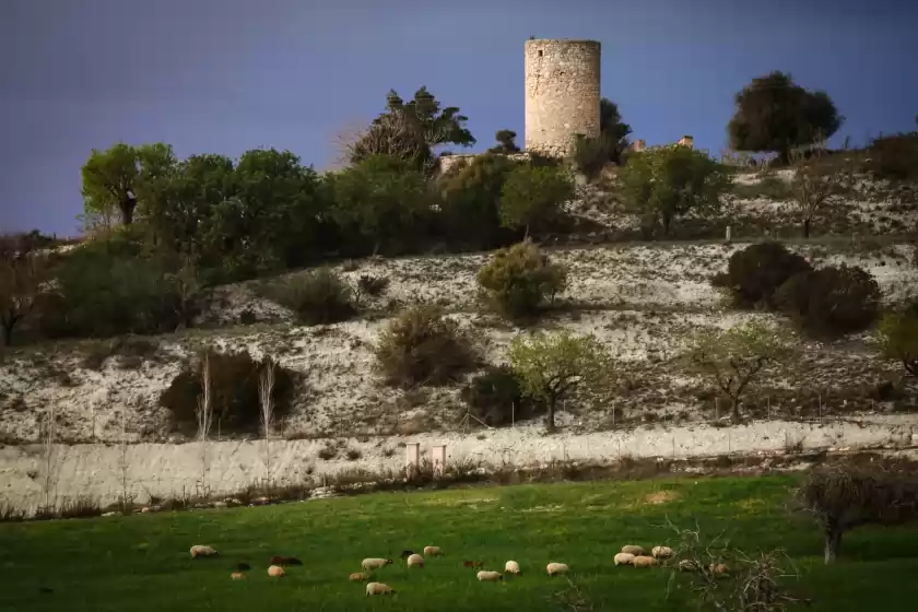 Ferienhaus auf Sort nova, Montuïri