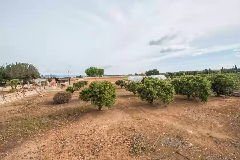 Holiday rentals in Florit, Muro