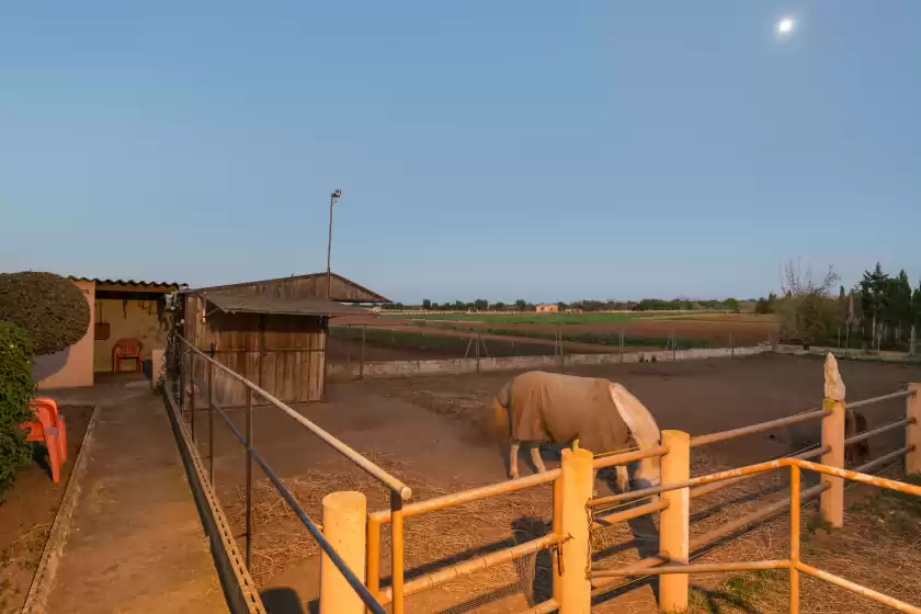Holiday rentals in Florit, Muro
