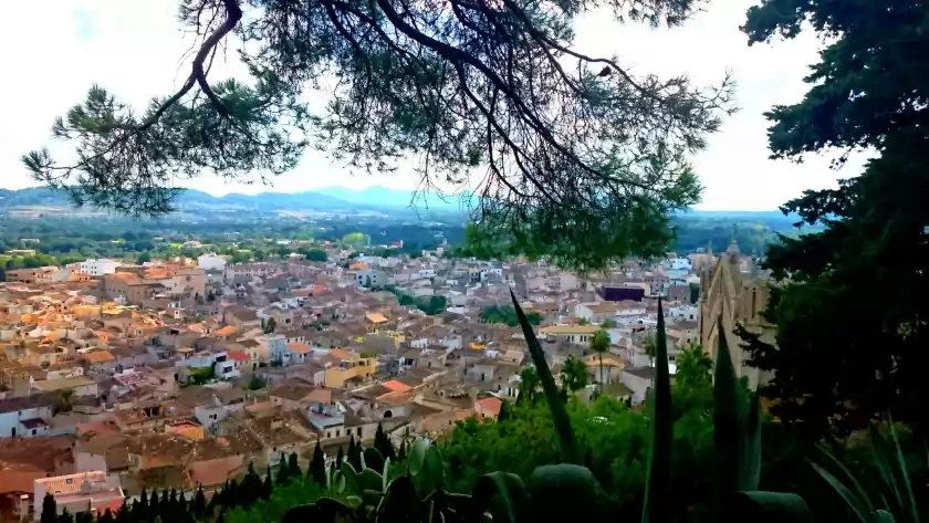 Ferienhaus auf Ciprer de son catiu, Artà
