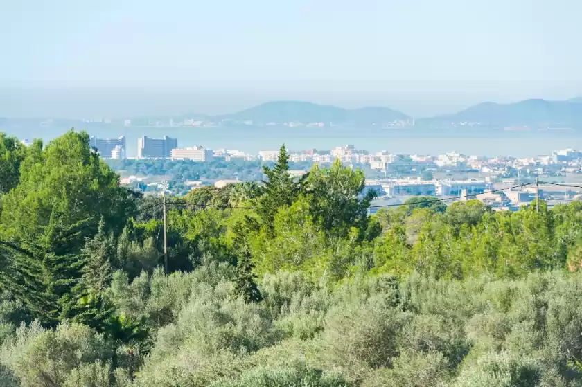 Ferienhaus auf Can valero, s'Aranjassa