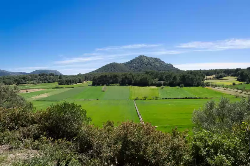 Alquiler vacacional en Can gallot de punxuat, Algaida