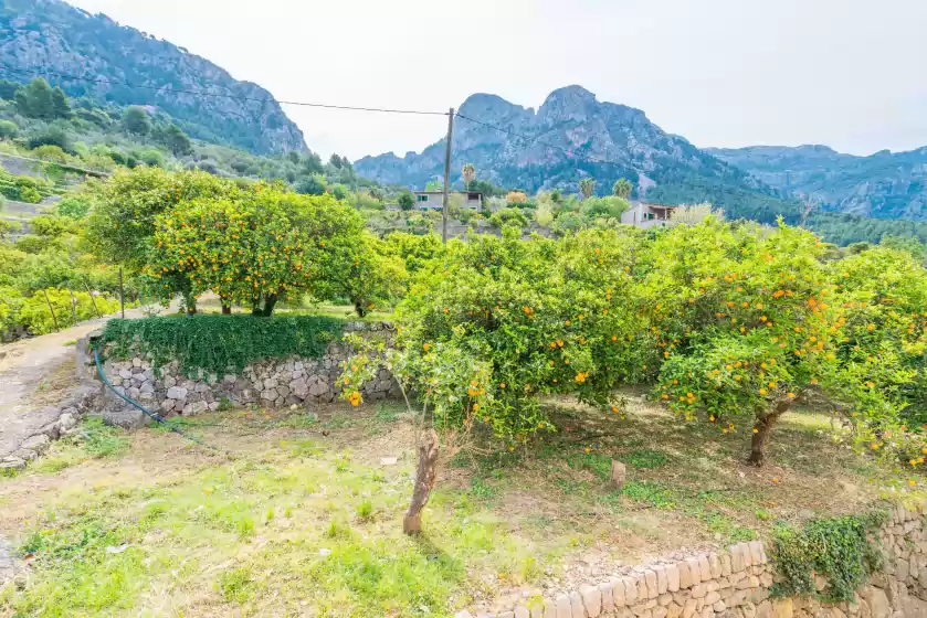 Location de vacances à Cas patro lau bis, Biniaraix