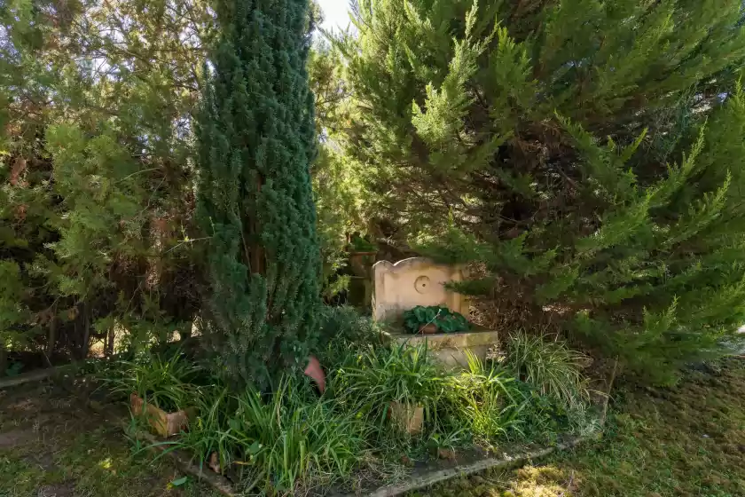 Holiday rentals in Son fred, Sencelles