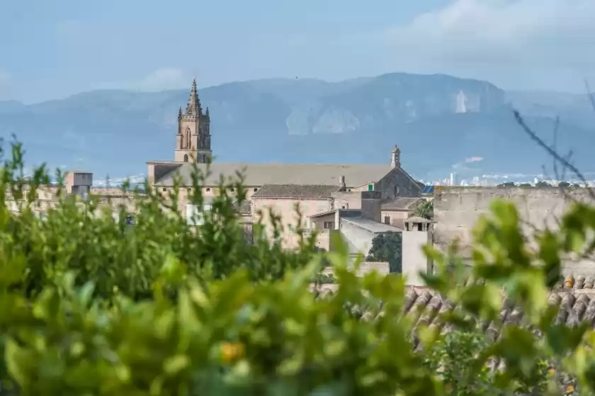 Alquiler vacacional en Barraquer, Llubí