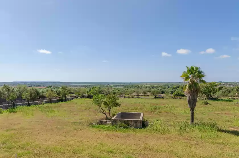 Holiday rentals in Sa marina (marina des torrent), ses Salines