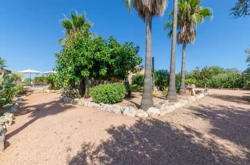 Holiday rentals in Sa marina (marina des torrent), ses Salines