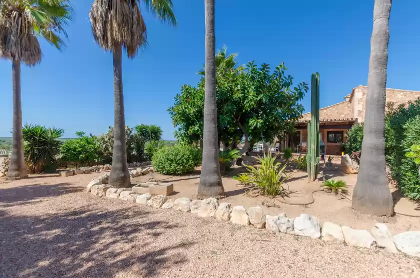 Holiday rentals in Sa marina (marina des torrent), ses Salines