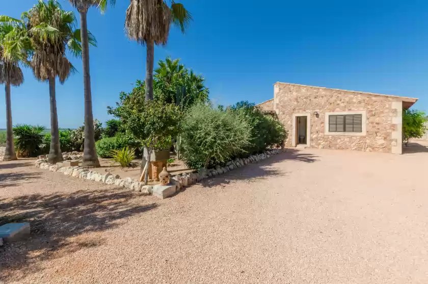 Holiday rentals in Sa marina (marina des torrent), ses Salines
