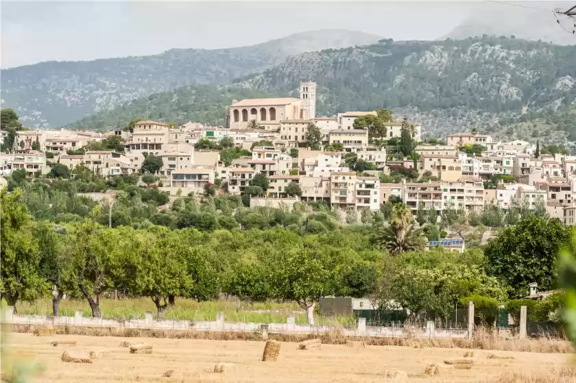 Ferienunterkünfte in Bona vida, Selva