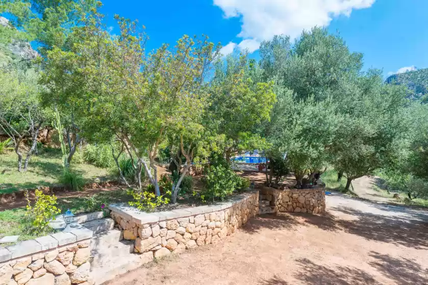 Location de vacances à Sa tarongera, Andratx
