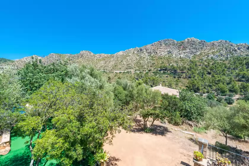 Location de vacances à Sa tarongera, Andratx