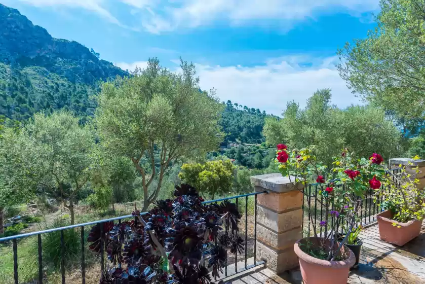 Location de vacances à Sa tarongera, Andratx