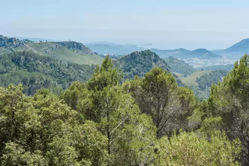 Holiday rentals in Can beltran (can caragol), Inca