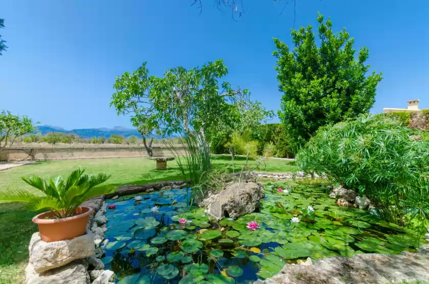 Holiday rentals in Citrino, Inca