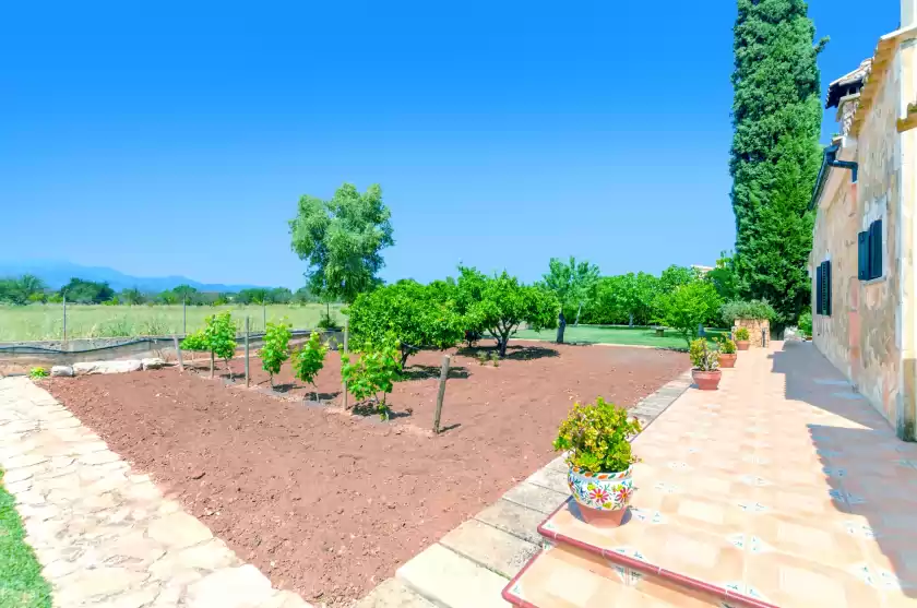 Holiday rentals in Citrino, Inca