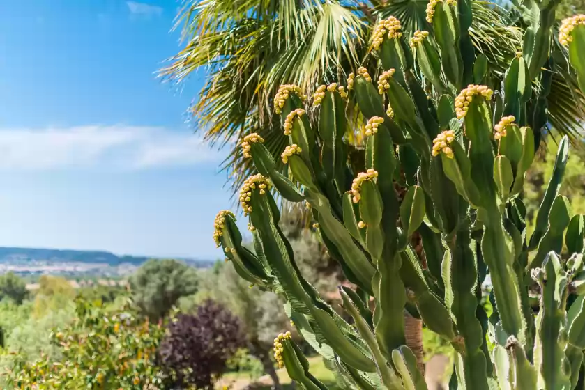 Holiday rentals in Es pinar, Alaró