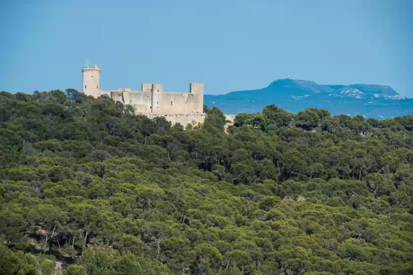 Alquiler vacacional en Can rei des pla, Gènova