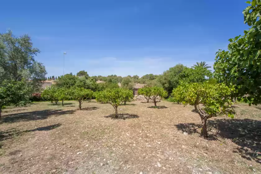 Ferienhaus auf Son gorrió, Sant Llorenç des Cardassar