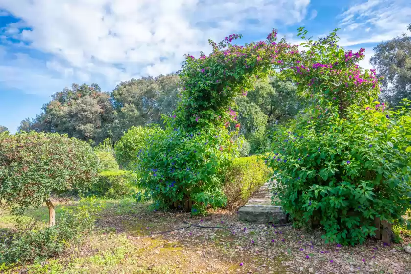 Ferienhaus auf Ca na flores, Llubí