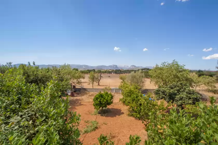 Holiday rentals in Sa casota, Consell