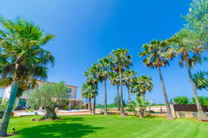 Alquiler vacacional en Son sastre , Muro