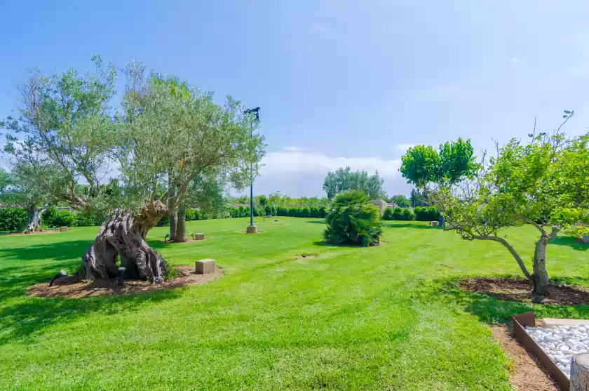 Alquiler vacacional en Son sastre , Muro