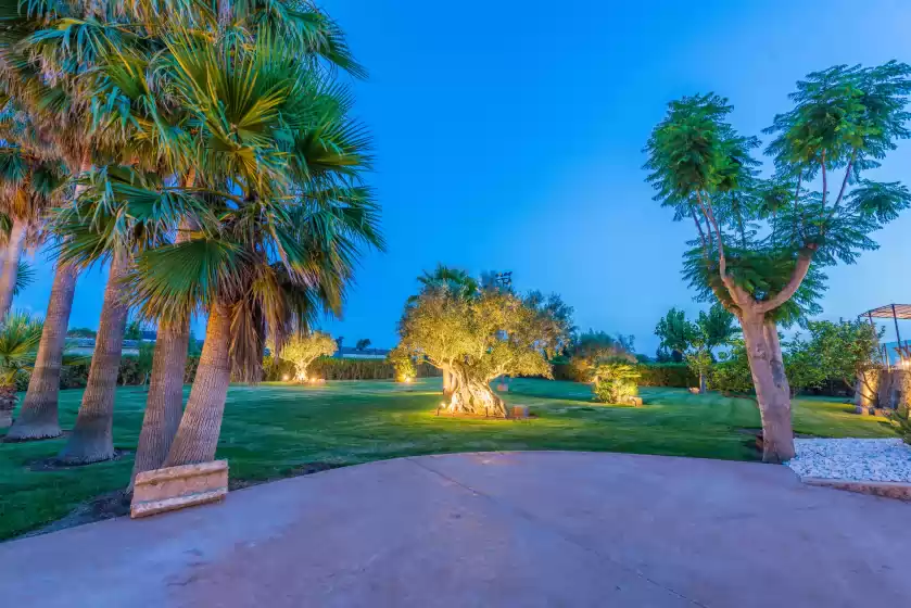 Alquiler vacacional en Son sastre , Muro