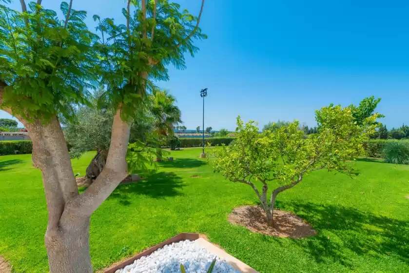 Alquiler vacacional en Son sastre , Muro