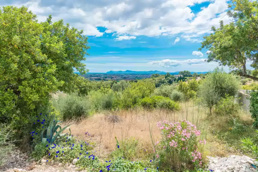 Alquiler vacacional en Son borràs, Campanet