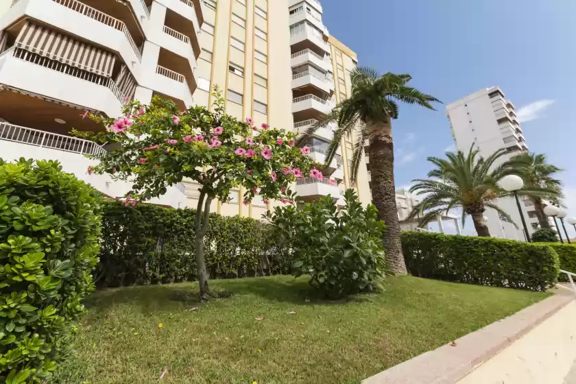 Ferienhaus auf Bahamas, Grau i Platja