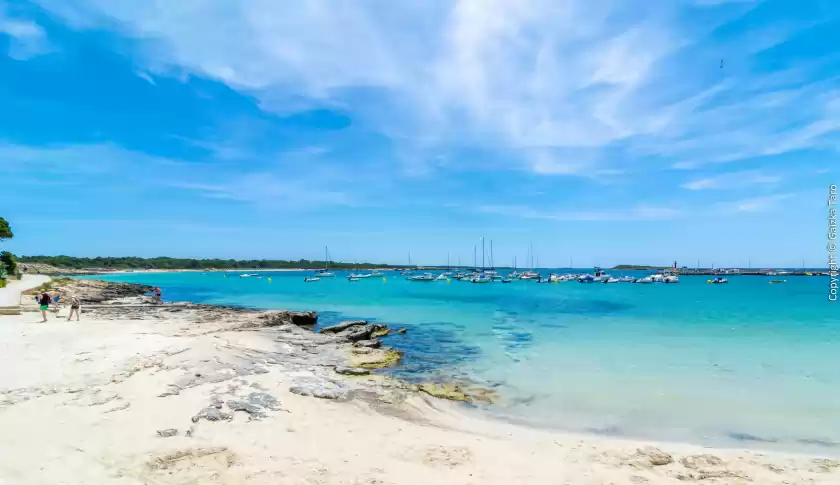 Ferienhaus auf Pinar son fonoll a, Campos