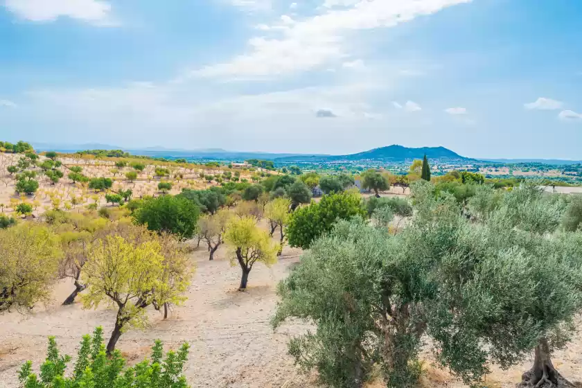 Ferienhaus auf Auxella gran, Moscari