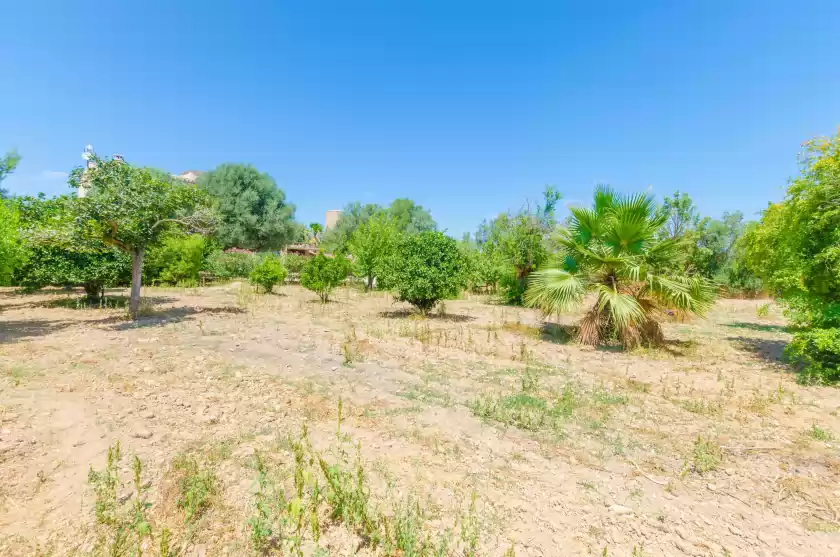 Ferienunterkünfte in Hort de can bou, Porreres